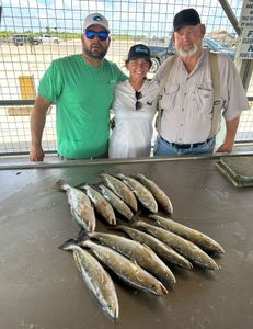 6 fish caught while fishing in TX