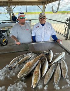 6 fishing people caught big fish in Matagorda