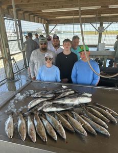 5 burbot fish caught in Matagorda