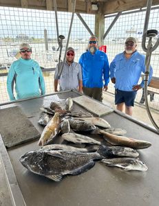 Three black drum and redfish on a fishing trip in TX