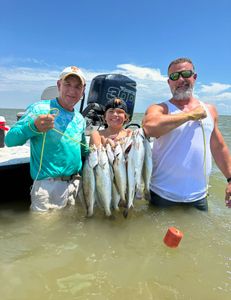 3 fish caught in Matagorda while fishing