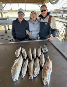 11 fishing rods and reels in Matagorda