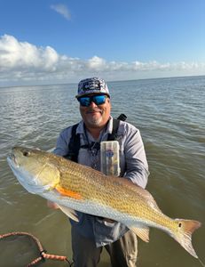 Single fisherman with a 33-inch catch in Matagorda