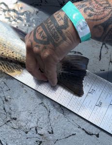 Fishing in TX