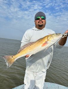 One fisherman standing in the water with their catch in Matagorda, Texas