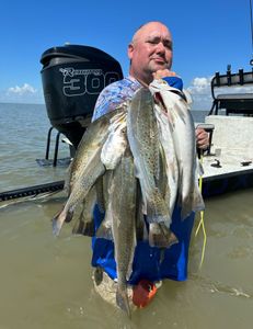 Four hardhead sea catfish caught in Matagorda