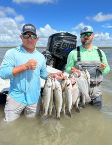 Four spotted weakfish caught in Matagorda