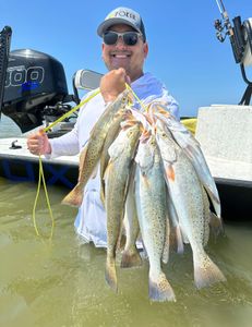 Four spotted weakfish caught in Matagorda, Texas
