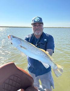 Spotted weakfish, 27 inches, fishing in TX