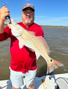 A fisherman holds a large redfish caught in Matagorda.