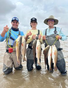 5 redfish caught during fishing trip in Matagorda