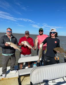 Four redfish caught in Matagorda, Texas