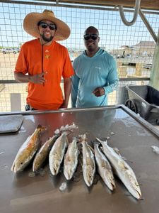Redfish and speckled trout catch from fishing charter in Matagorda TX