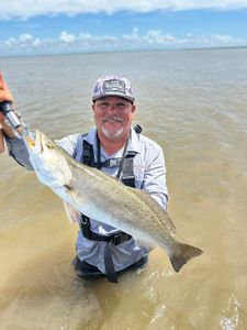 Speckled trout catch held up in shallow water near Matagorda TX during fishing trip