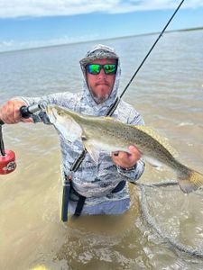 Speckled trout catch from fishing trip in Matagorda TX shallow waters