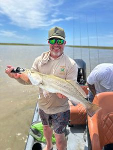 Speckled trout caught during fishing charter in Matagorda TX