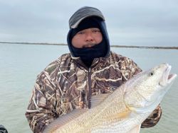 Redfish caught in Matagorda while fishing