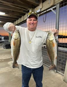 Two redfish, 17 inches long, caught in Matagorda during a fishing trip