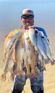 Three redfish caught while fishing in TX