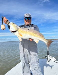 Redfish, 29 inches, caught in Matagorda