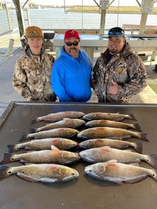 Eight redfish caught in Matagorda during fishing trip