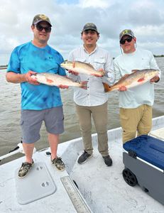 3 redfish caught in TX