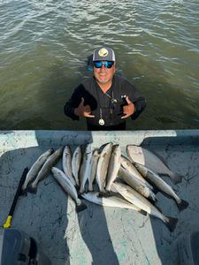 A fisherman holding 5 spotted weakfish and bluefish caught in Matagorda