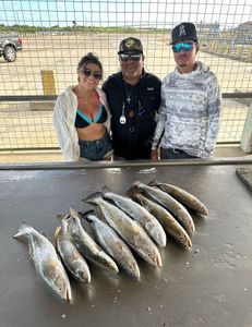4 spotted weakfish caught in Matagorda