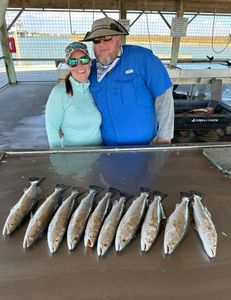 7 spotted weakfish caught in Matagorda, fishing