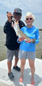 Spotted Weakfish, 13 inches, fishing in TX