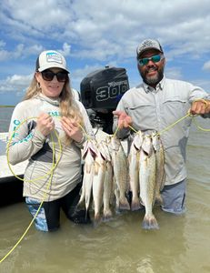 4 spotted weakfish caught while fishing in TX