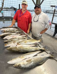4 spotted weakfish, fishing at Matagorda