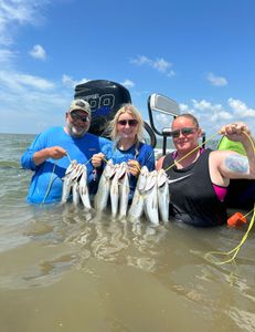 Spotted Weakfish caught fishing in TX