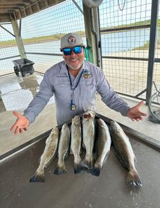 6 spotted weakfish caught in Matagorda, fishing