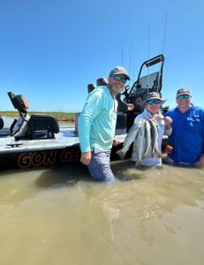 Spotted weakfish caught in Matagorda, Texas during fishing trip