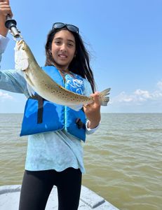 Spotted weakfish, 14-inch fish caught while fishing in Matagorda