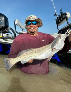 Spotted Weakfish caught while fishing in Matagorda