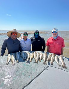 8 spotted weakfish caught in Matagorda, Texas