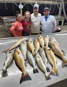 10 spotted weakfish caught in Matagorda