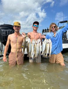 6 spotted weakfish caught in Matagorda, Texas