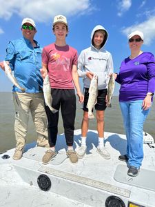 4 spotted weakfish in TX