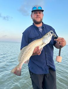 A photo of a spotted weakfish catch in TX