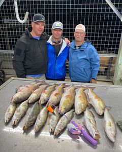Nine fishing rods with a view of Matagorda, Texas