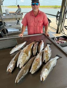 8 fish caught in TX