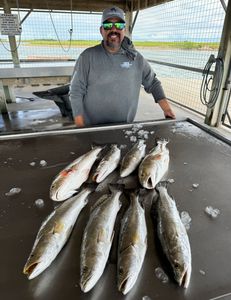 8 fish caught in TX