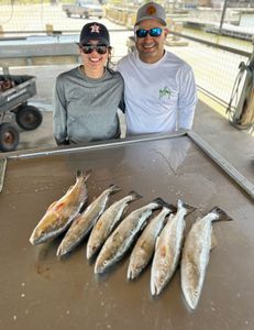 4 fishing rods with large fish caught in TX