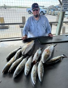8 fishing in TX