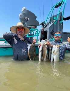 Three summer flounder caught in Matagorda during fishing
