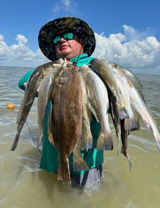 Four southern flounder and spotted weakfish in TX