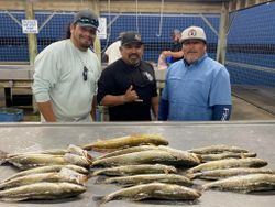 Three Wahoo fish caught in TX